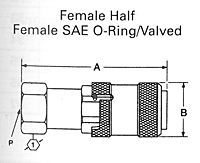 FD35 SERIES FEMALE HALF SAE